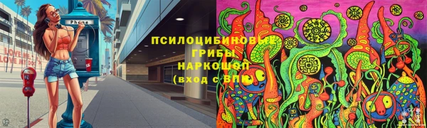 ГАЛЛЮЦИНОГЕННЫЕ ГРИБЫ Абинск