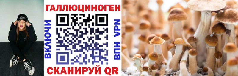 blacksprut рабочий сайт  Петров Вал  Галлюциногенные грибы ЛСД 